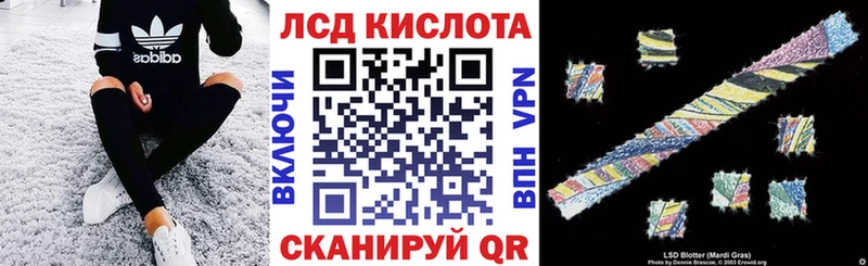 Купить закладки  Будённовск  Наркотические марки 1,5мг 